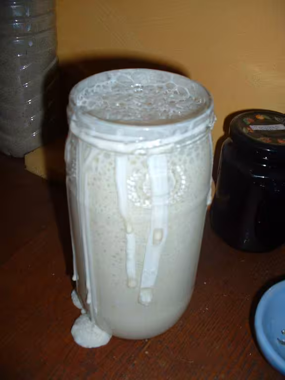 The levain liquide kayser