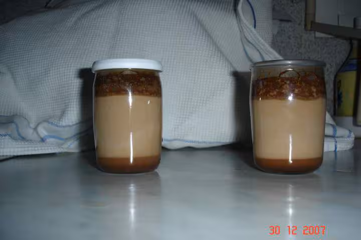 Yaourt au chocolat