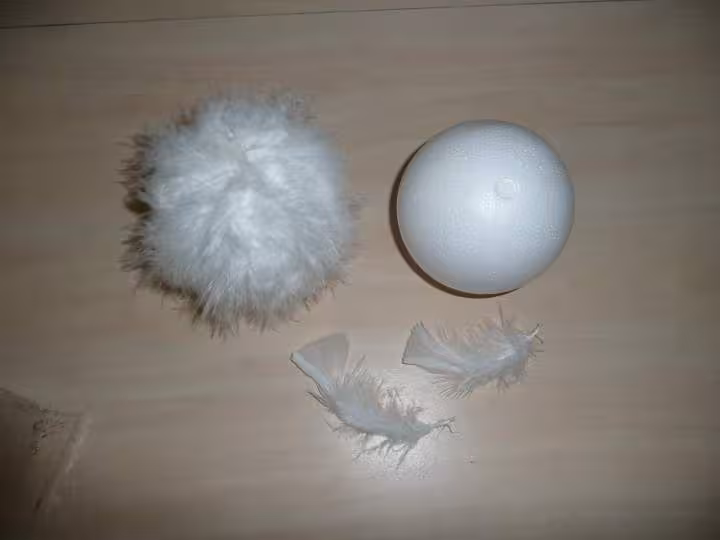 Photo boule plume