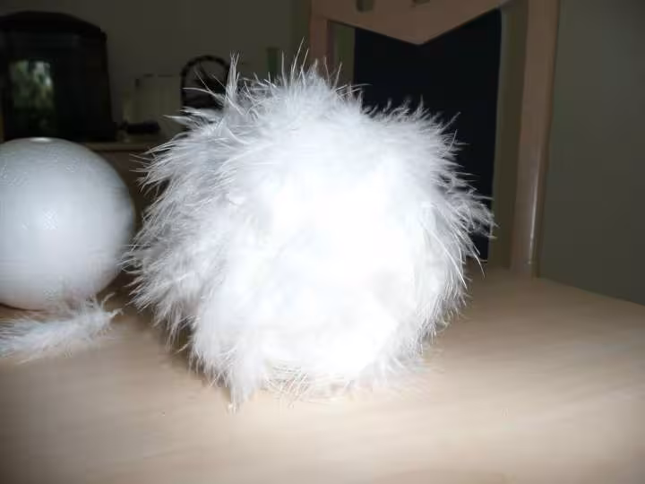 Photo boule plume 2
