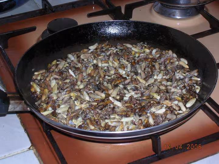 Friture de guepes 2