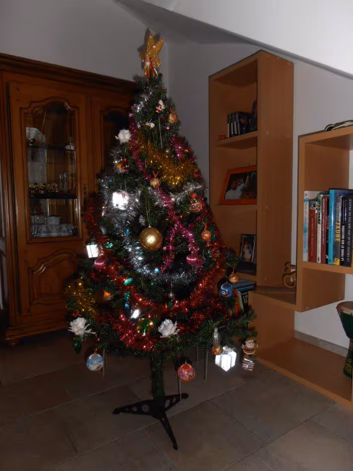Sapin 2012