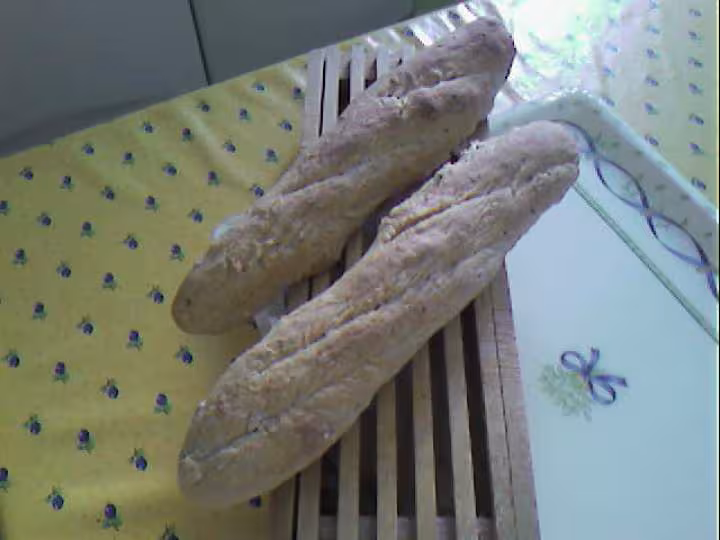 Baguettes levain liquide maman