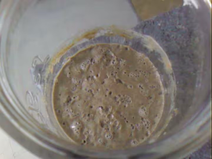 Mon levain taz jour 6