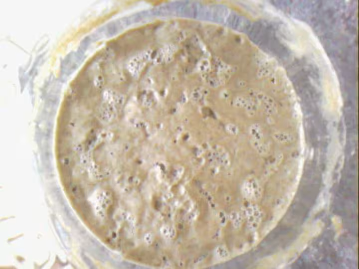 Mon levain taz jour 6