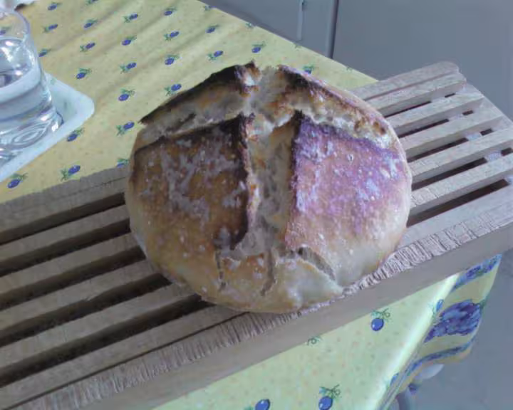 Pain tout levain liquide beaviane