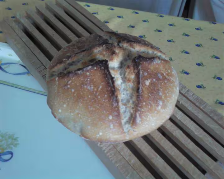Petit zaalish