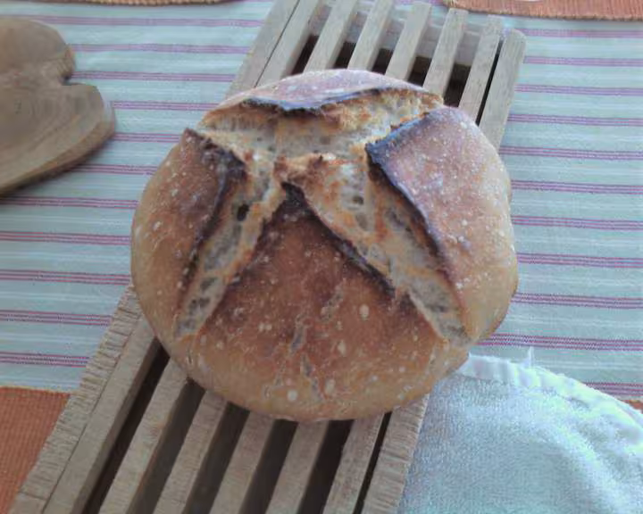 Petit zaalish