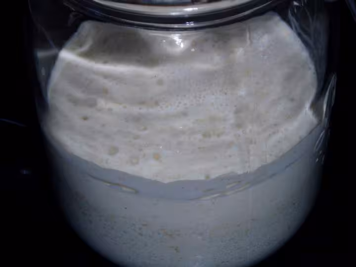 Taz mon levain