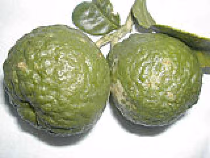 Combava