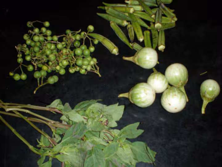 Legumes thai avec gombos