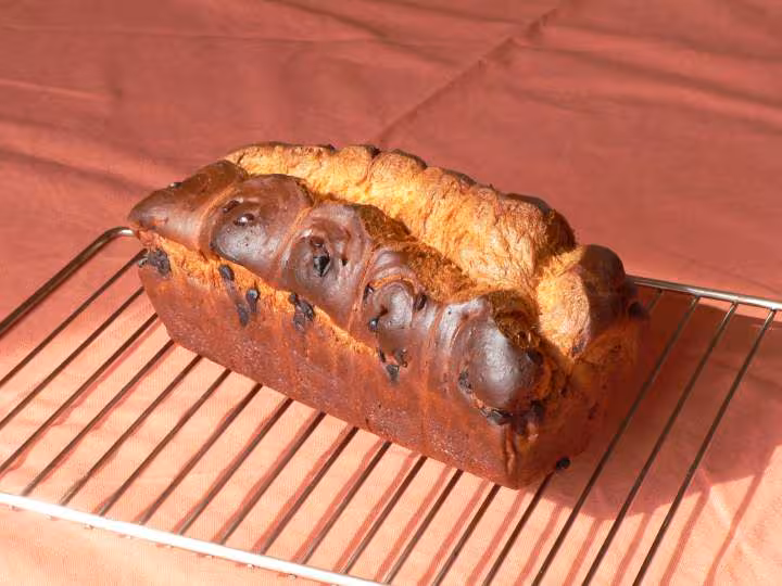 Brioche de flore