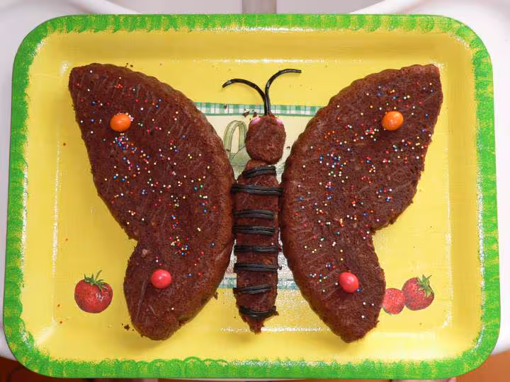 Brownie papillon