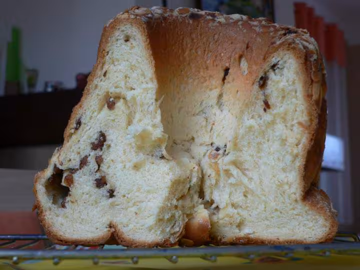 Coupe du kougelhoft