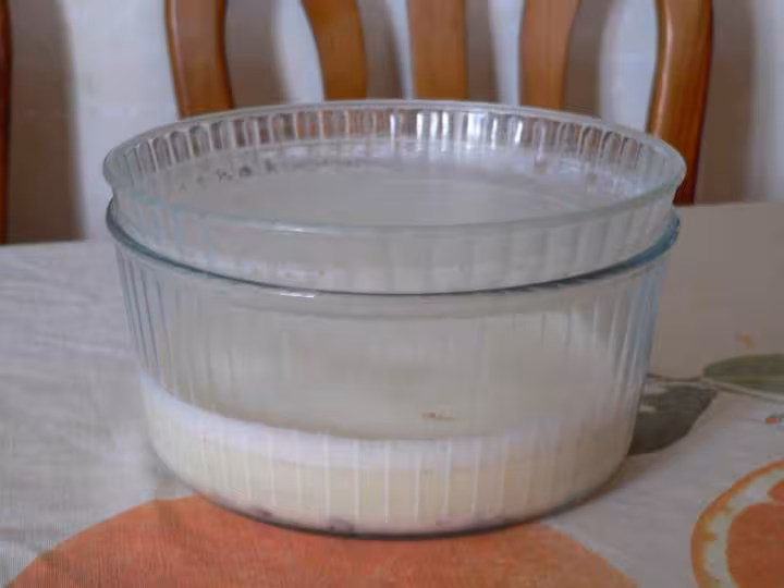 Flan pret a etre cuit