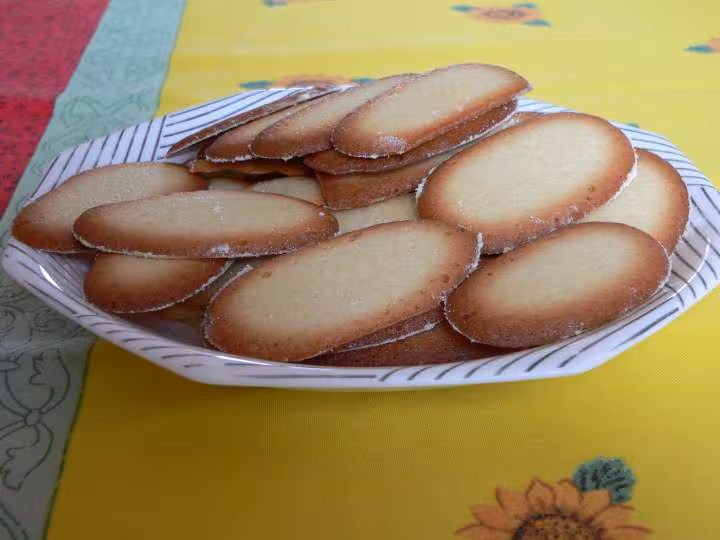 Langues de chat
