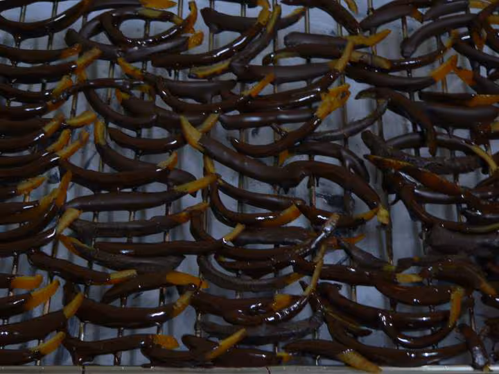 Orangettes au chocolat