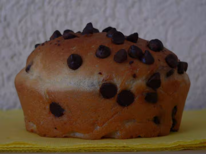 Pains au lait aux pepites de chocolat