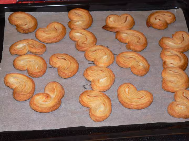 Palmiers sales