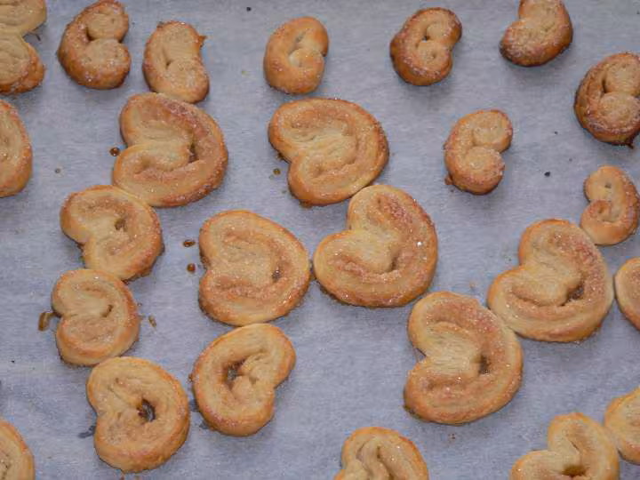 Palmiers sucres