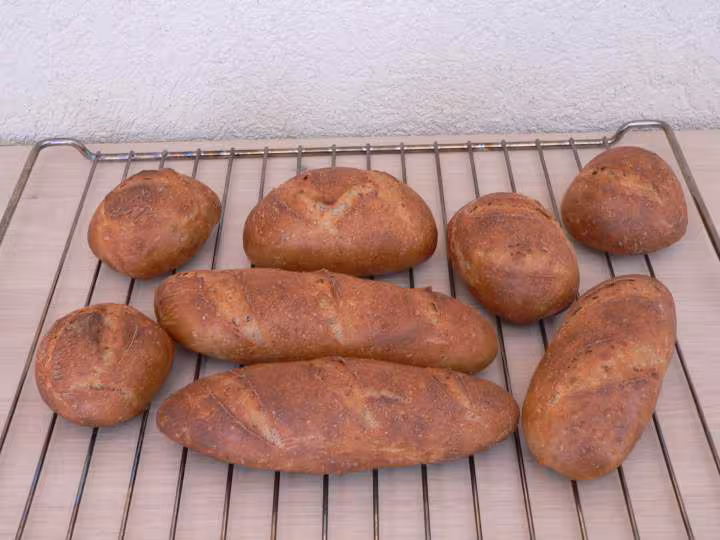 Petits pains de campagne