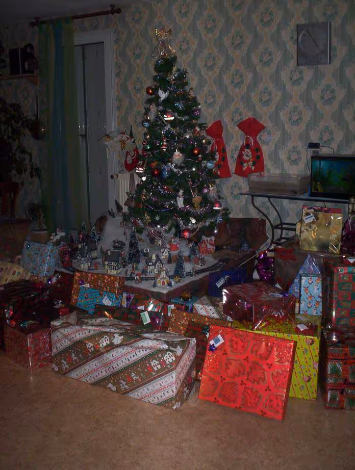 Sapin de noel 2006 2007