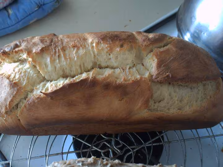 Brioche peche de poange avec levain liquide
