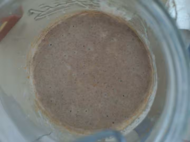 Levain liquide j4