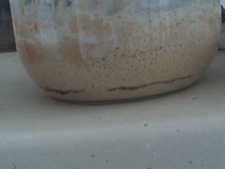 Levain liquide j4