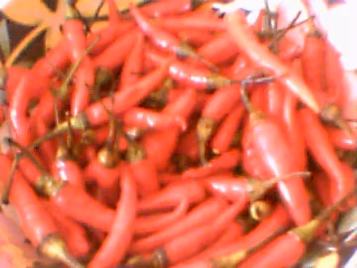 Piment fort