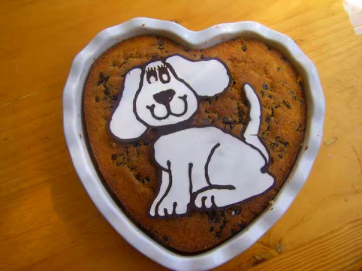 Gateau et glacage chien choc noir et sucre glace nature
