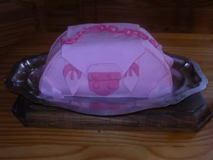 Gateau sac a main