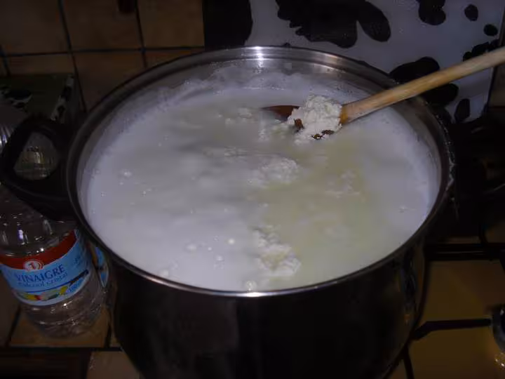 Lait caille