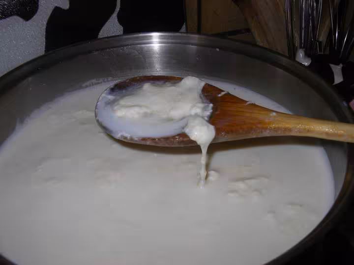 Lait en train de cailler