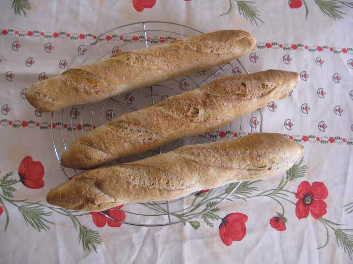 Baguettes au levain et a la biere