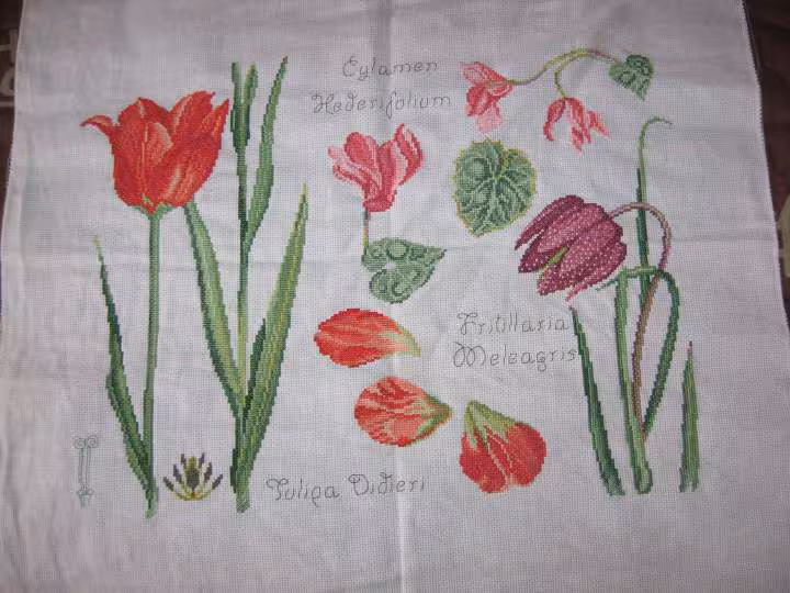 Broderie