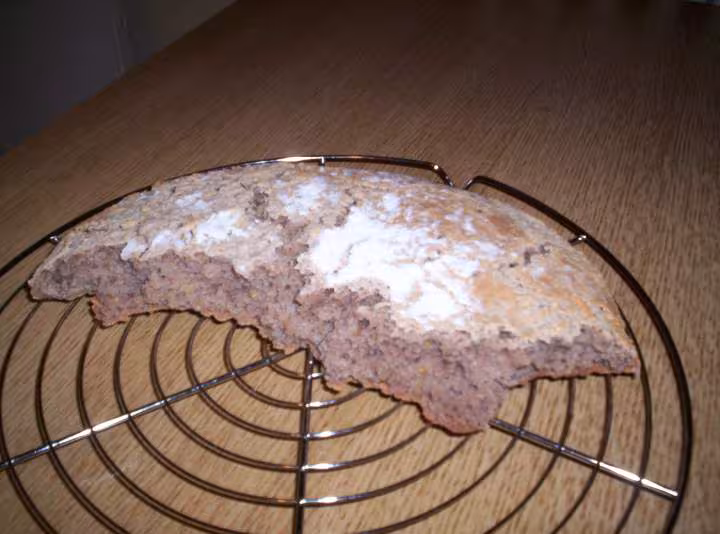 Pain chataigne multicereales et t65 au lev1 rate