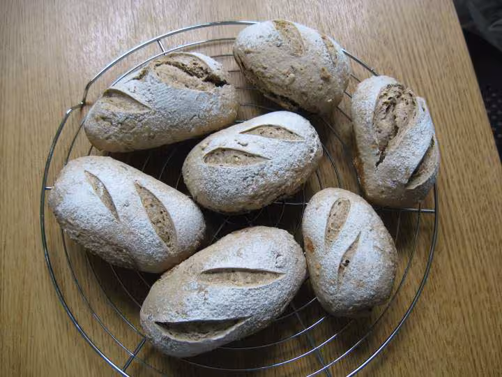 Petits p1 multicereales complets flocons d avoine au levain