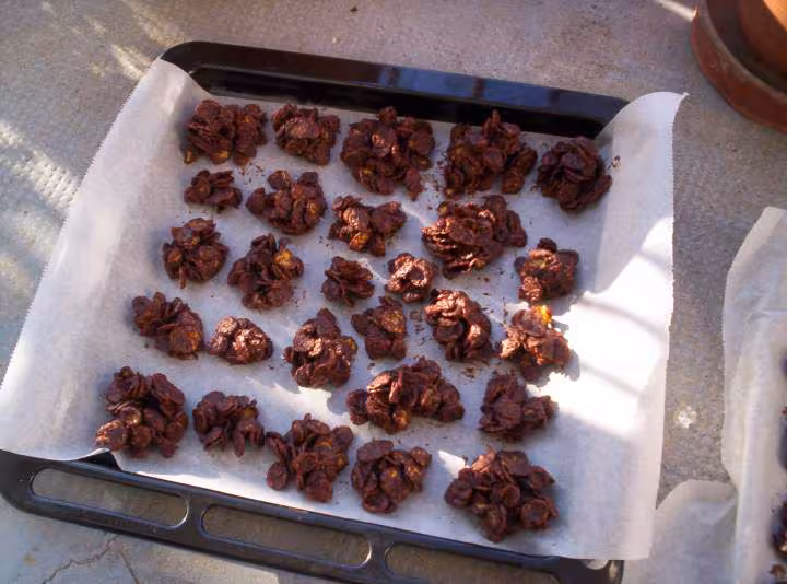 Roses des sables