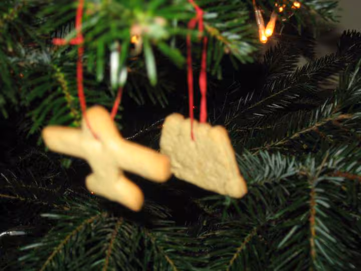Sapin sables