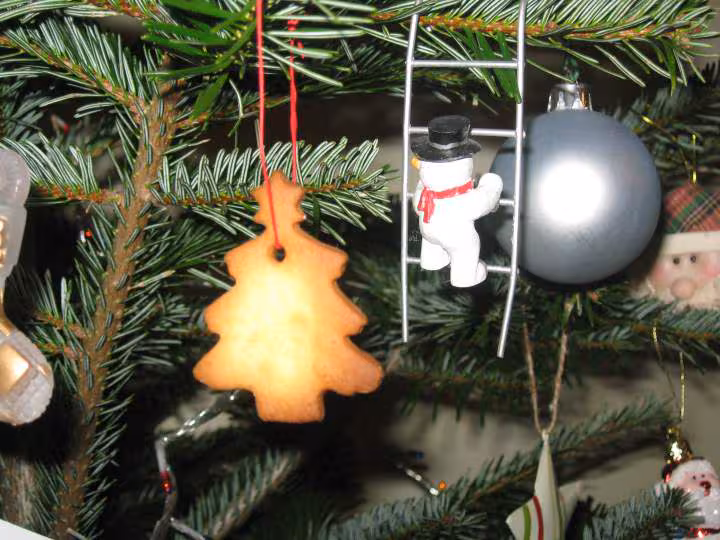 Sapin sables