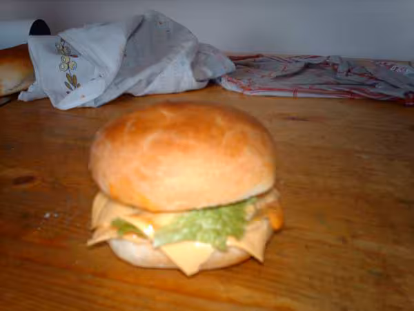 Hamburger