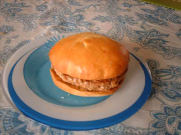 Hamburger nature