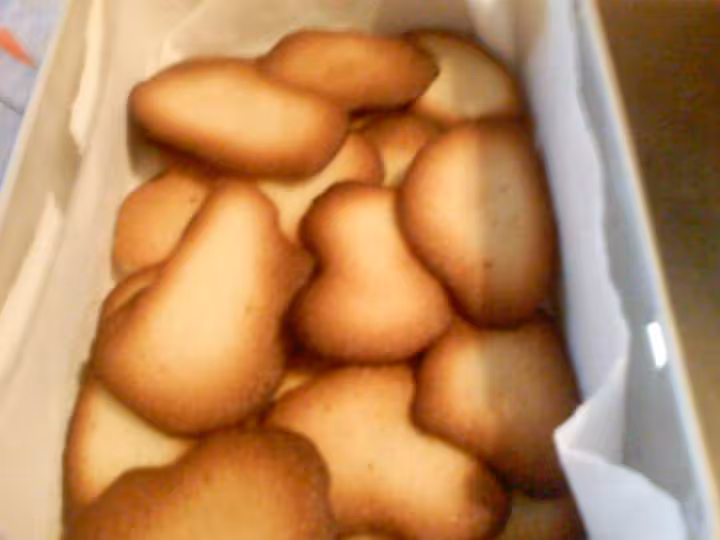 Langues de chat