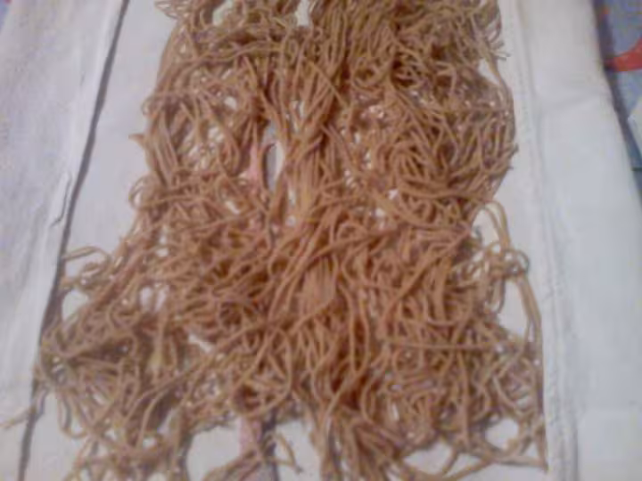 Premiers spaghettis