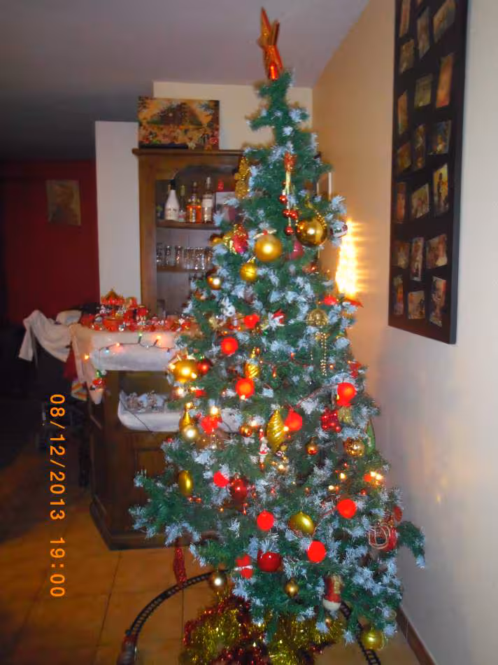 D co noel 2