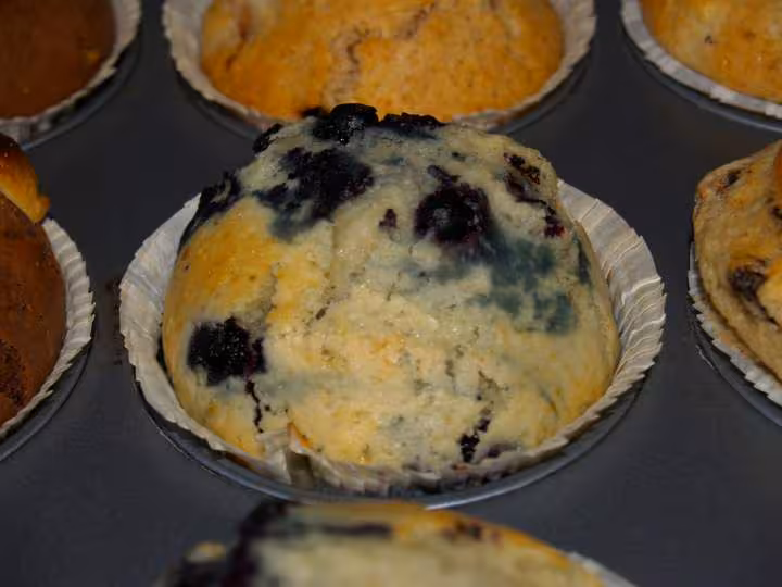 Muffins myrtilles apres cuisson