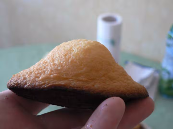 Madeleines 1
