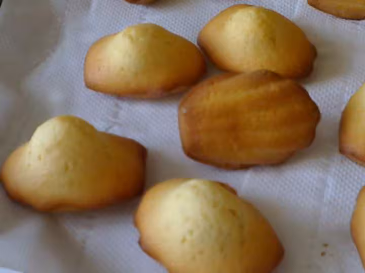 Madeleines