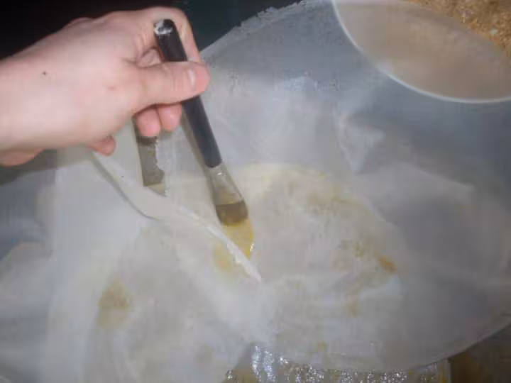 Pastilla au poulet